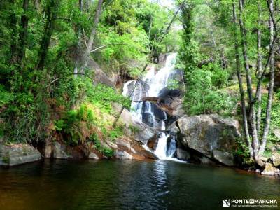 Cerezos flor_Valle del Jerte;mochila para mujer mochilas bicicleta montaña fotos comida navidad